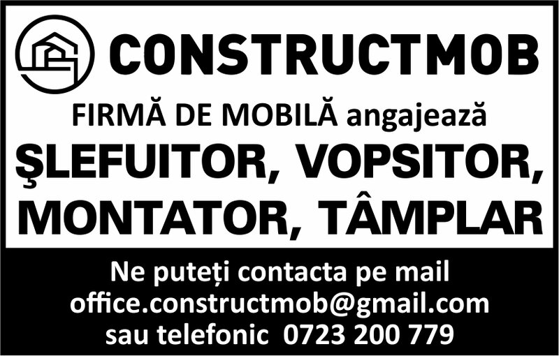 Slefuitor, vopsitor, montator, tamplar