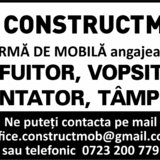 Slefuitor, vopsitor, montator, tamplar